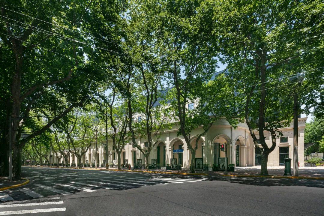 淄博旅行打卡,去淄博一日游必去打卡的美食地点