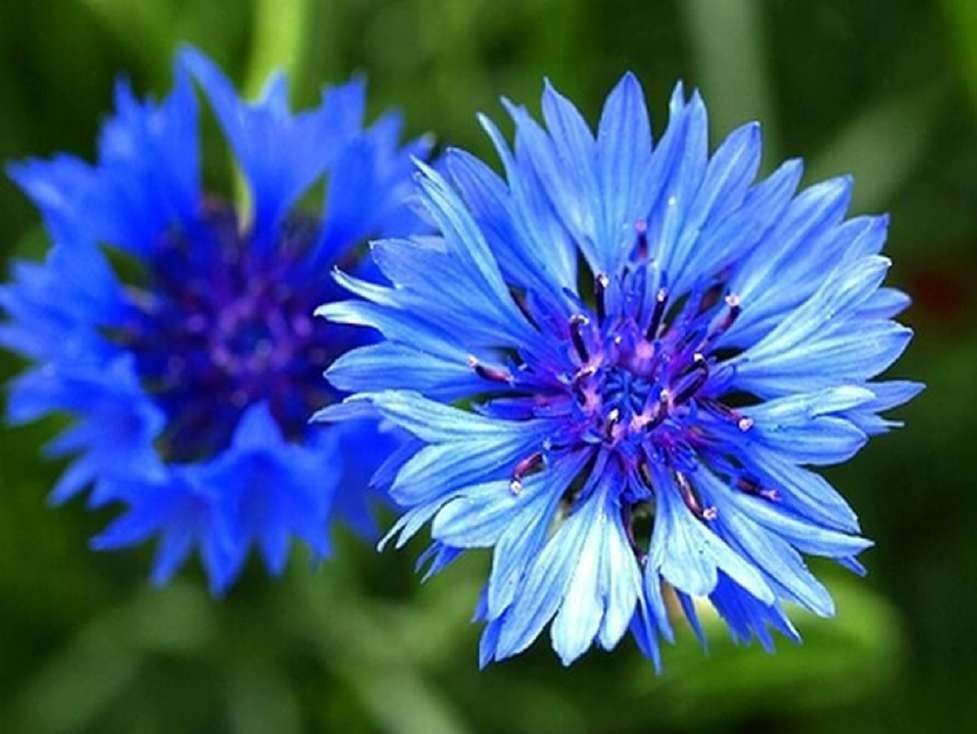 德国物价现状真实视频,德国北威州真实现状