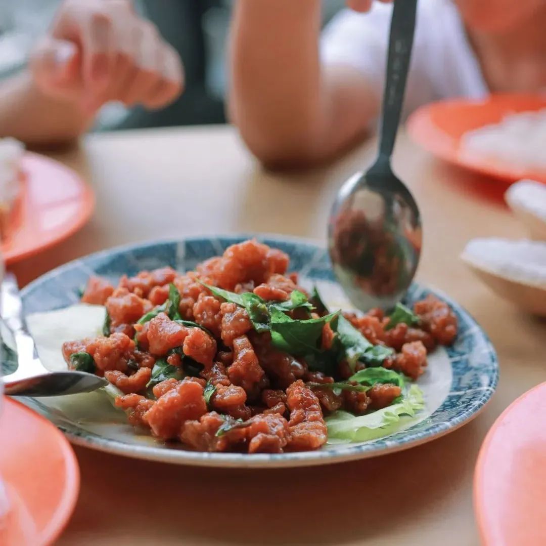 新加坡到马来西亚乐高大巴,从新加坡怎么去马来西亚乐高乐园