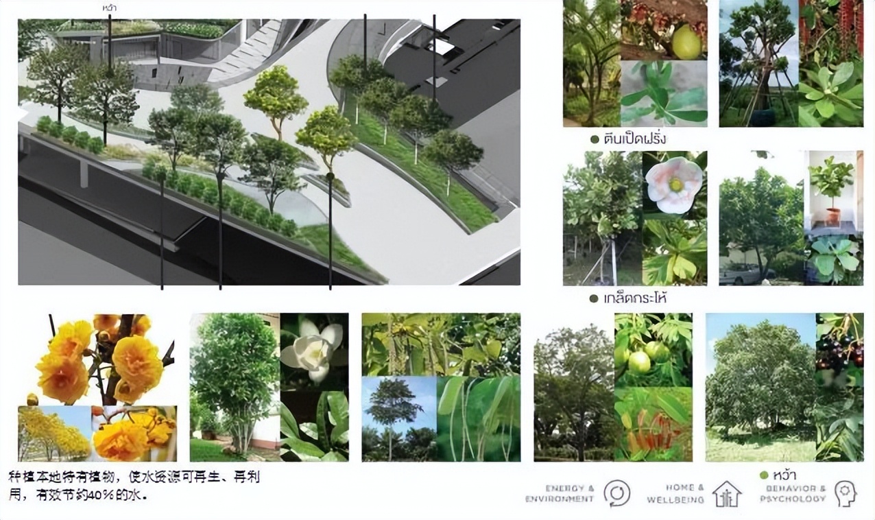 泰国首都曼谷楼盘,曼谷whizdom