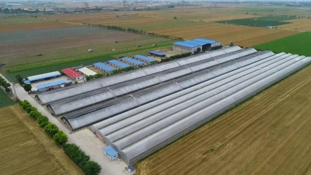 我的创业故事纪录片,我的奋斗故事乡村振兴