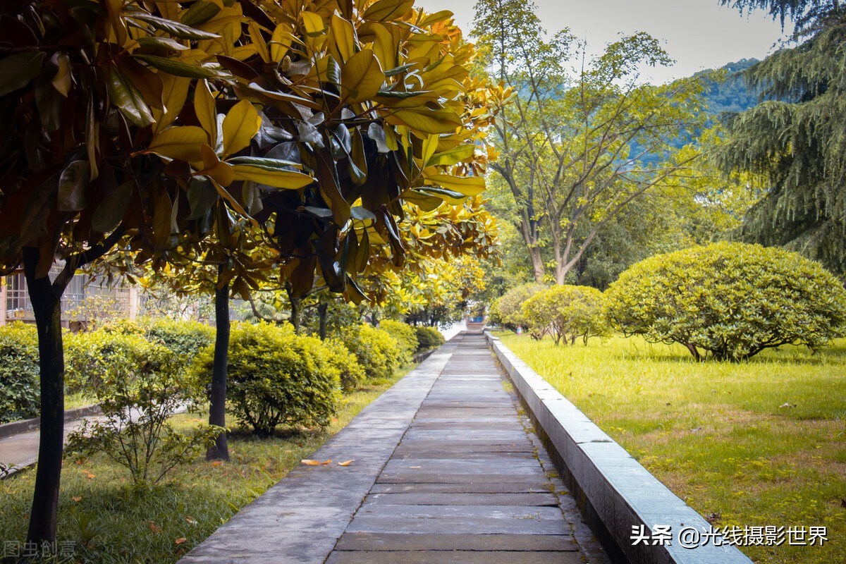 重庆邮电大学：三非院校翘楚，本科毕业进华为，月入过万不是梦