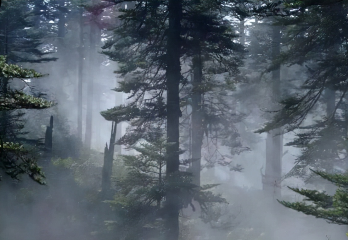 瘴气为什么有毒,瘴气的特征