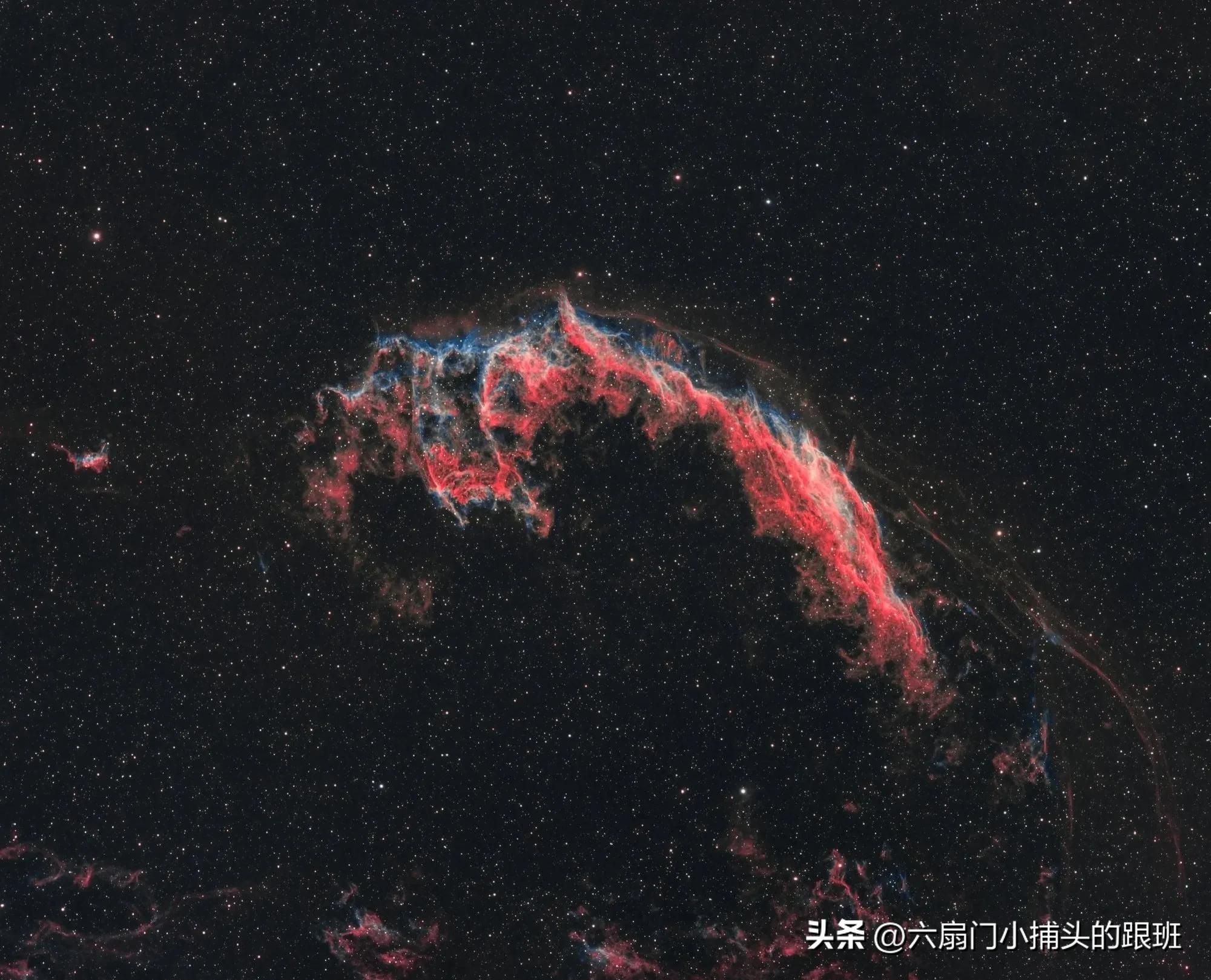 懂懂日记,懂懂日记全集完整版