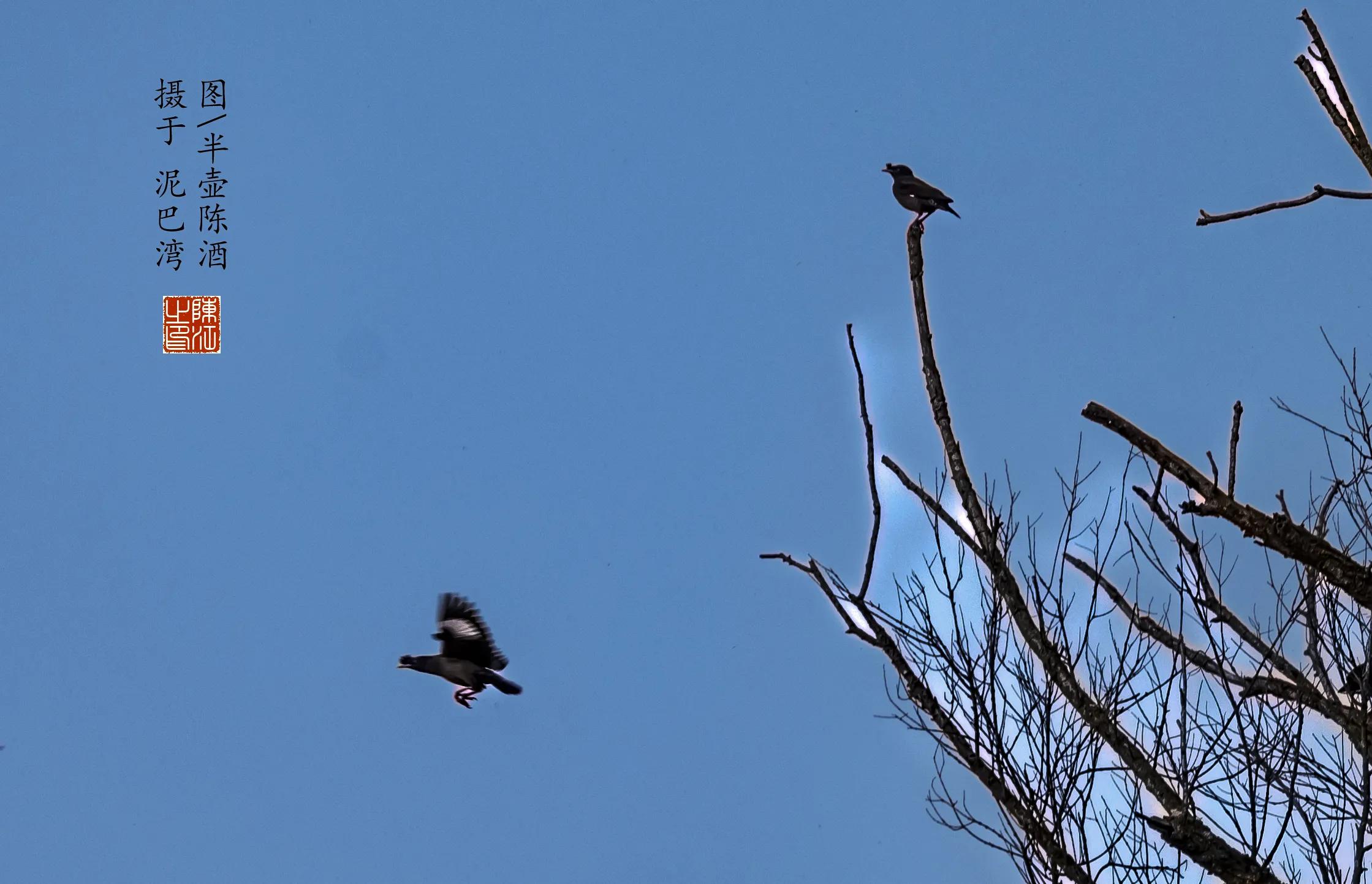 摄影棚拍白底图片,高端白底图拍摄