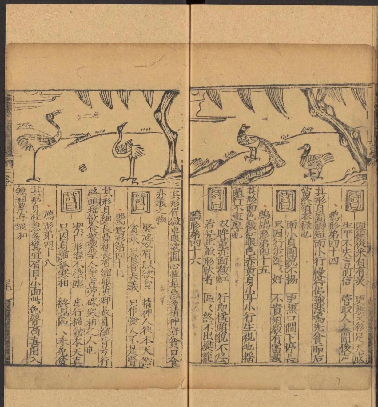 鎰熺煡鍘嗗彶鍝佸懗鏂囧寲缁忓吀,楹荤鐩告湳