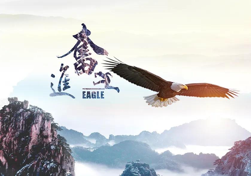 创业成功的人背后的故事,草根创业成功案例故事