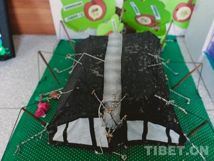 以爱为底色办有温度的教育——走进青海省海南藏族自治州共和县第一民族寄宿制学校