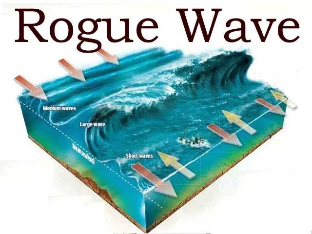 疯狗浪是什么样子的,疯狗浪的意思是什么