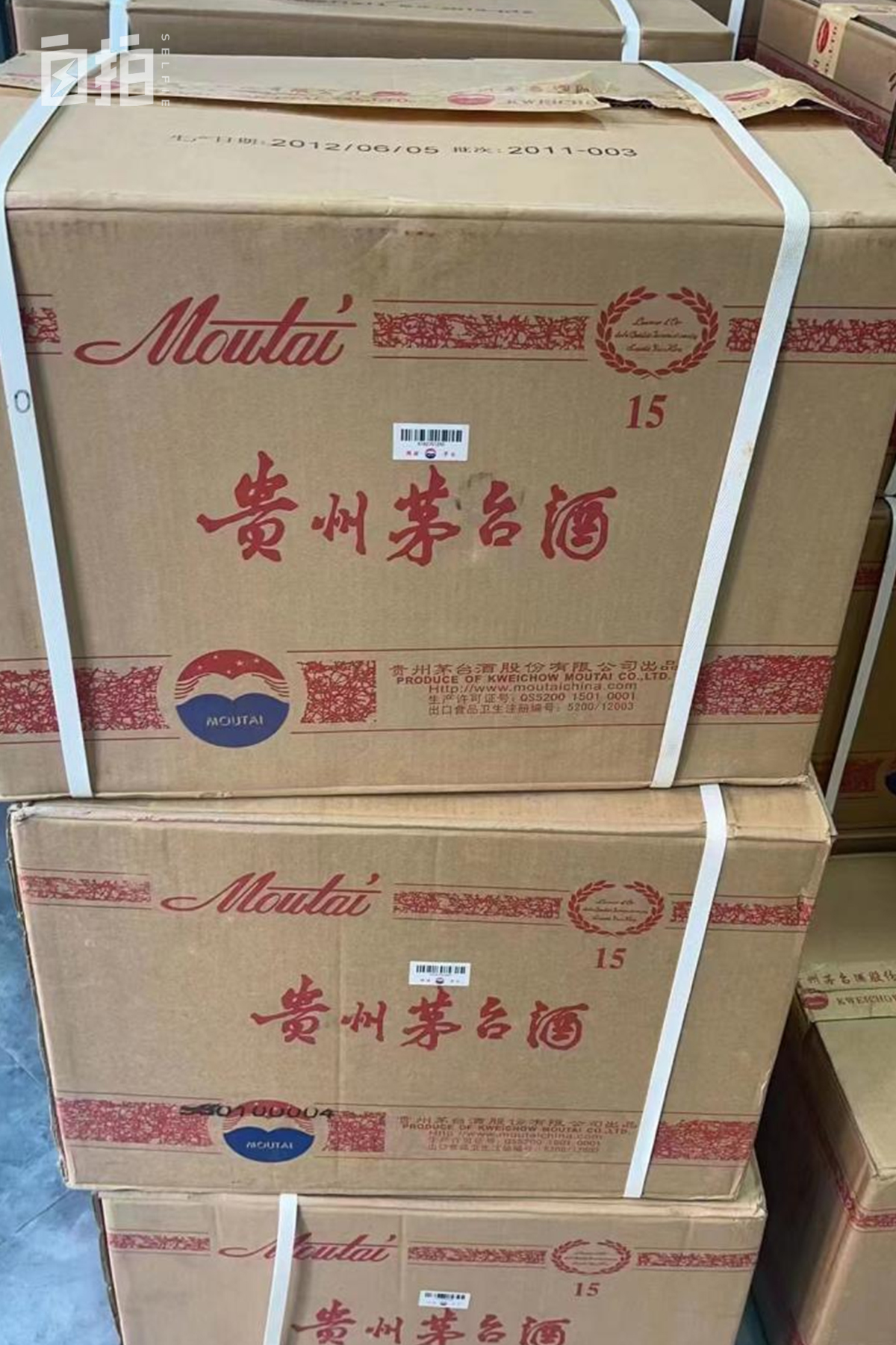 我，辞掉稳定工作、变卖家产、玩命健身，现在是一名女赛车手