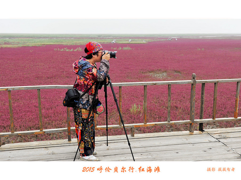 辽宁盘锦红海滩免费旅游攻略,内蒙古足迹旅行