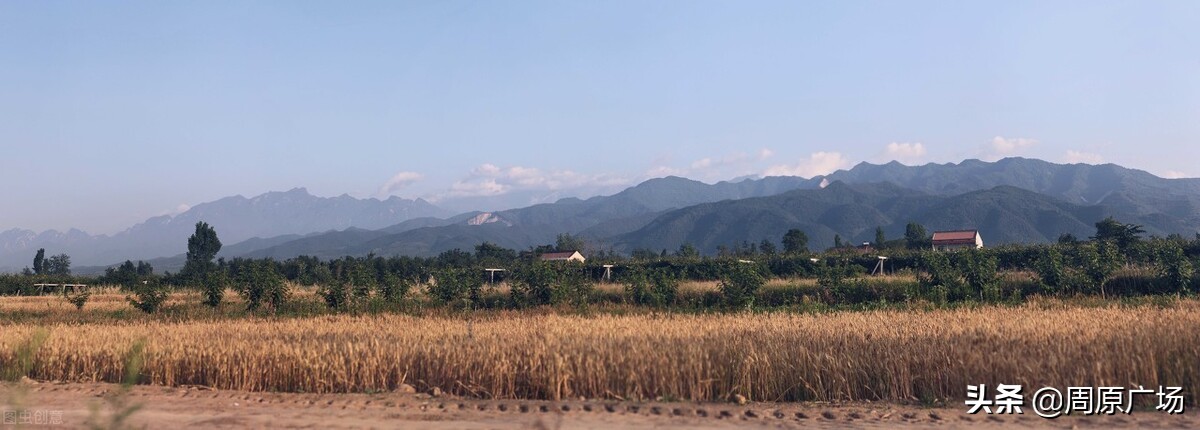 唐都浪子《饥荒年代关中往事》之：烧毛豆