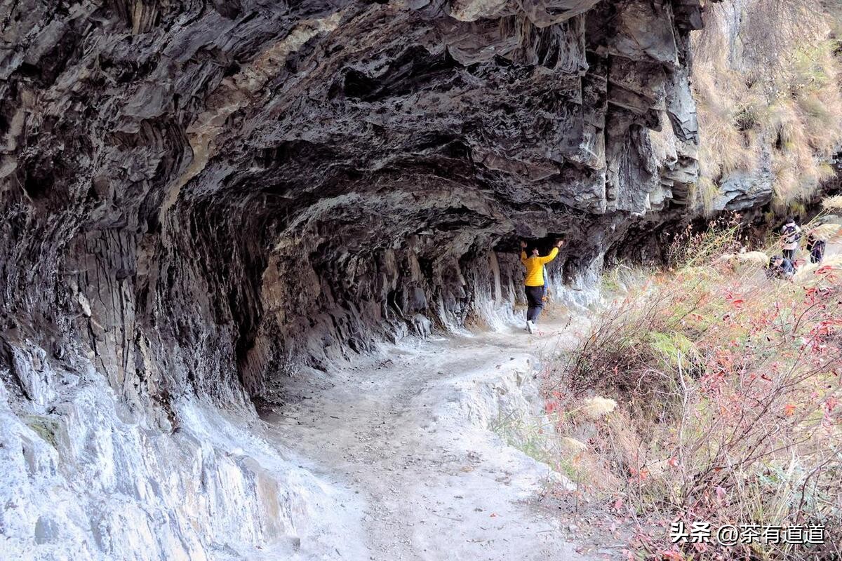 进入怒江雾村必走的茶马古道,怒江大峡谷茶马古道雾里村