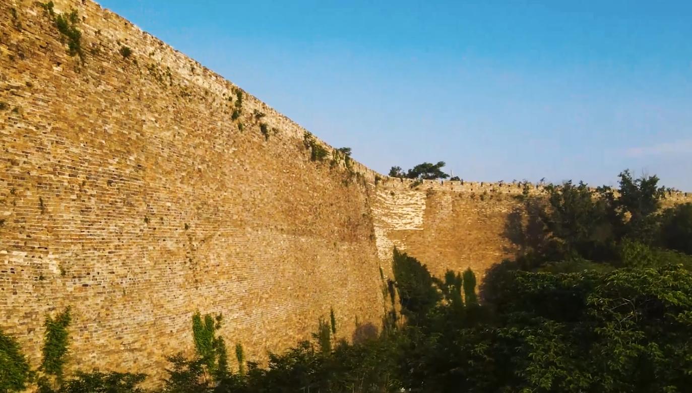 人体最大的器官是不是肝脏,人体最大的器官是指什么百科