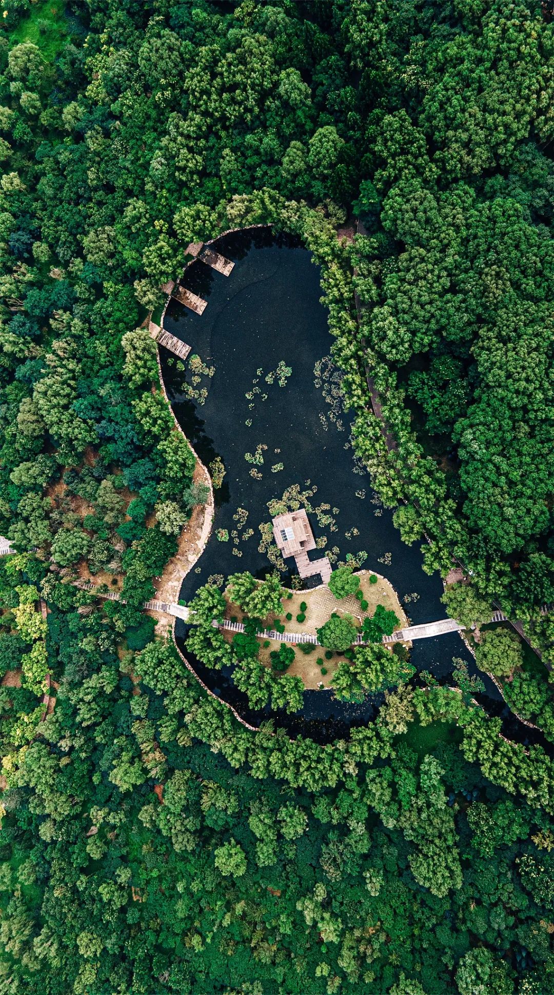 汾河主要特点和作用,汾河为什么属于黄河水系