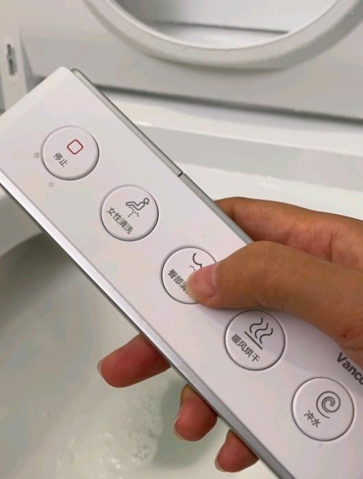 带水箱的智能马桶的优点与缺点,为什么都推荐智能马桶