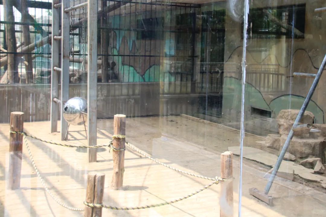 淮安动物园位置,淮安动物园多大面积