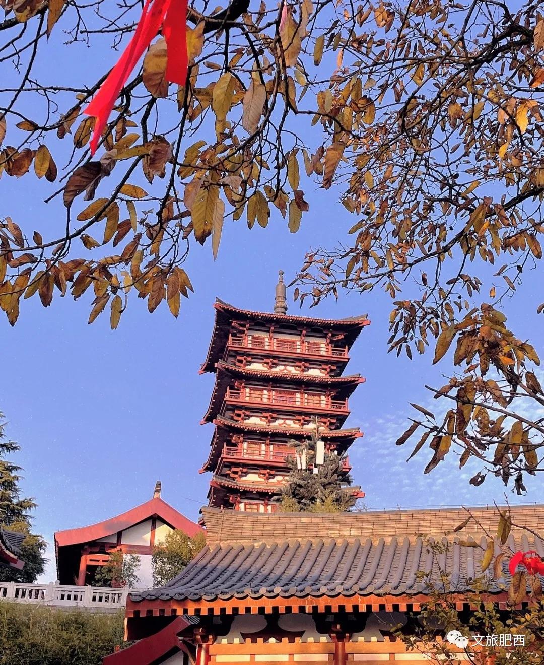 原来，在社交平台中，肥西的真实风景是这样的