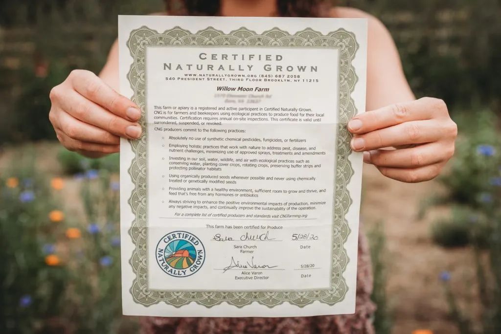 在美超，你真的会买菜吗？搞懂了这个，才既省钱又能买到好东西