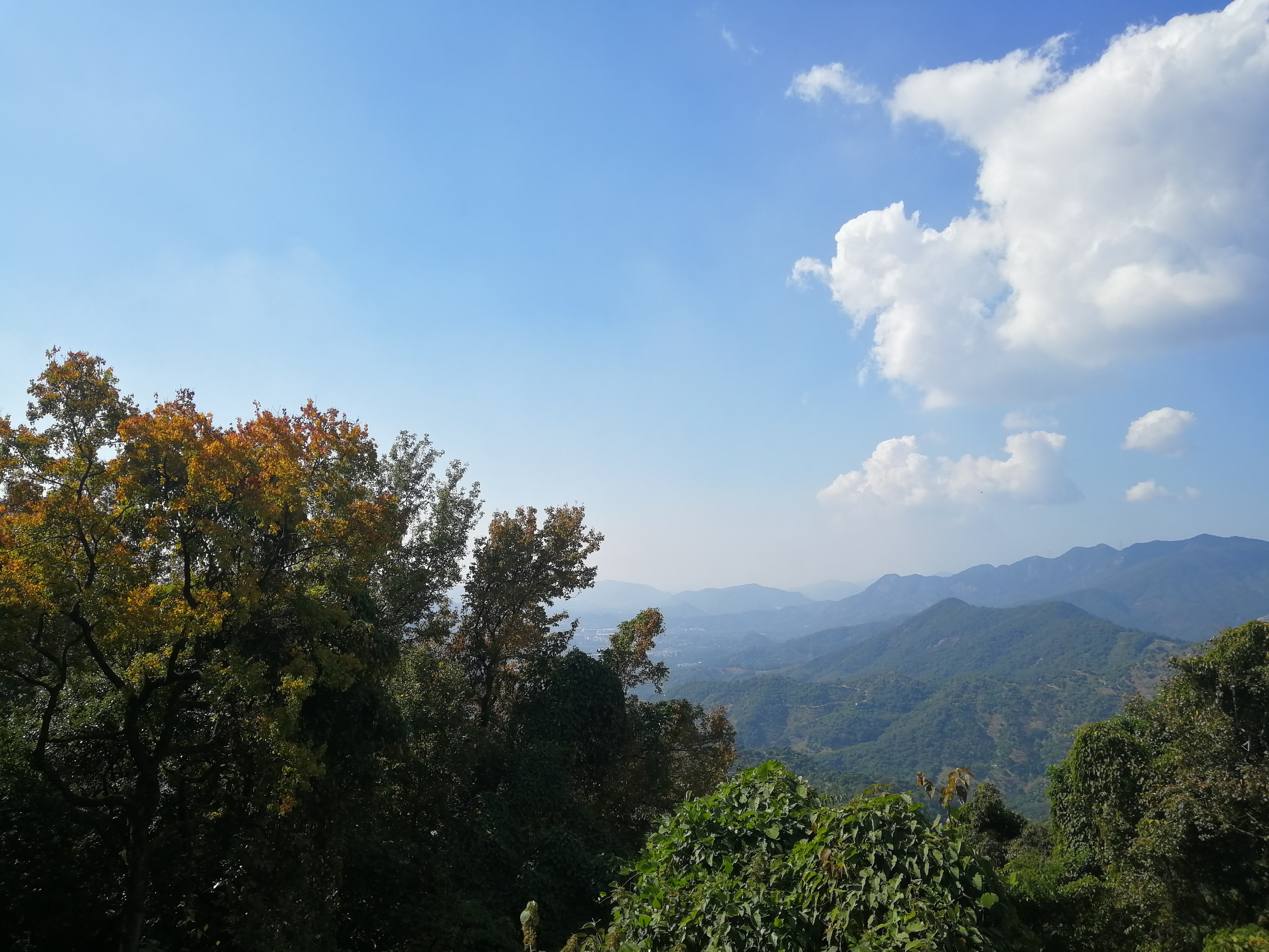 石门森林公园樱花谷交通线路,从化石门公园枫叶