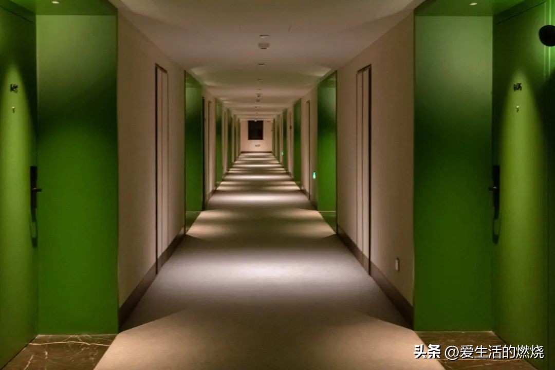 杭州森泊开元度假酒店不含门票,杭州开元森泊度假酒店存在的问题