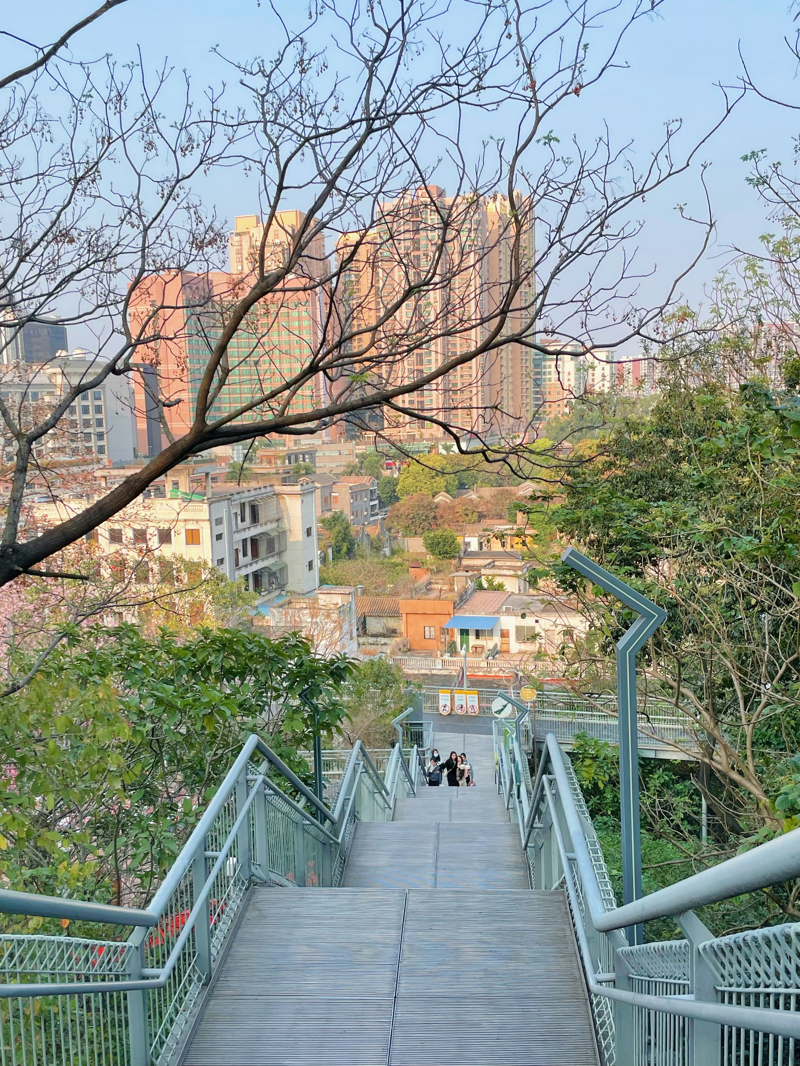 顺德渔人码头游玩攻略,顺德游玩攻略景点大全