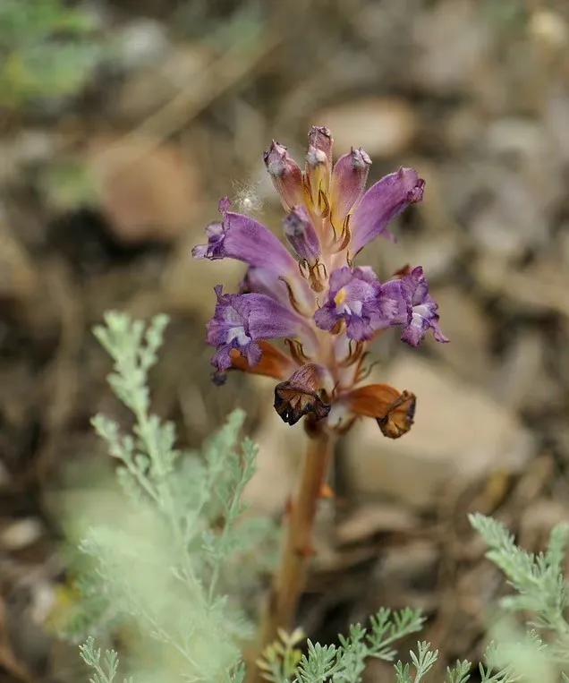 给你全部的温情与热爱,想给你全部的温情和热爱