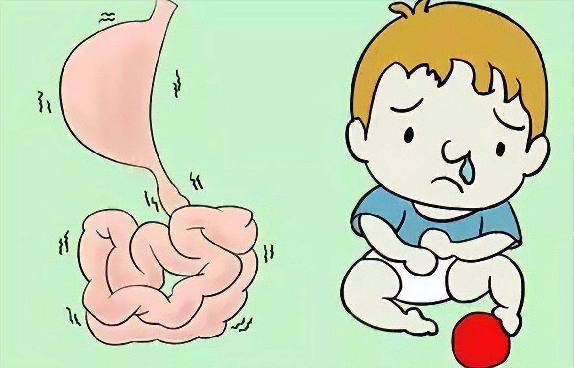 脾胃虚弱的孩子调理食谱,一岁半脾胃虚弱怎么调理