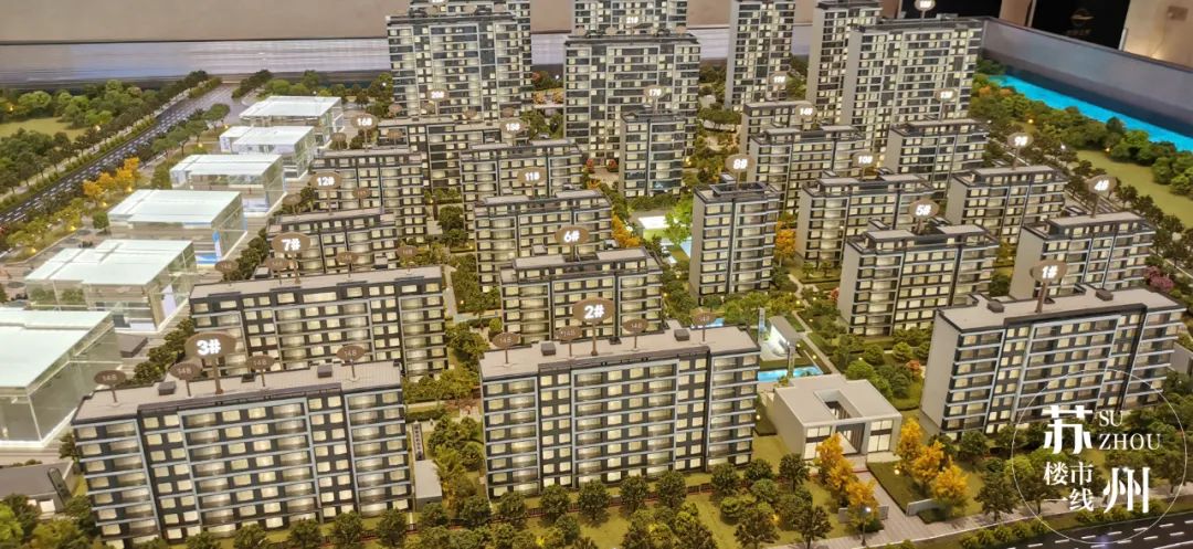 冻资3000组!“笠泽之星”能补回“太泽之星”的面子吗?