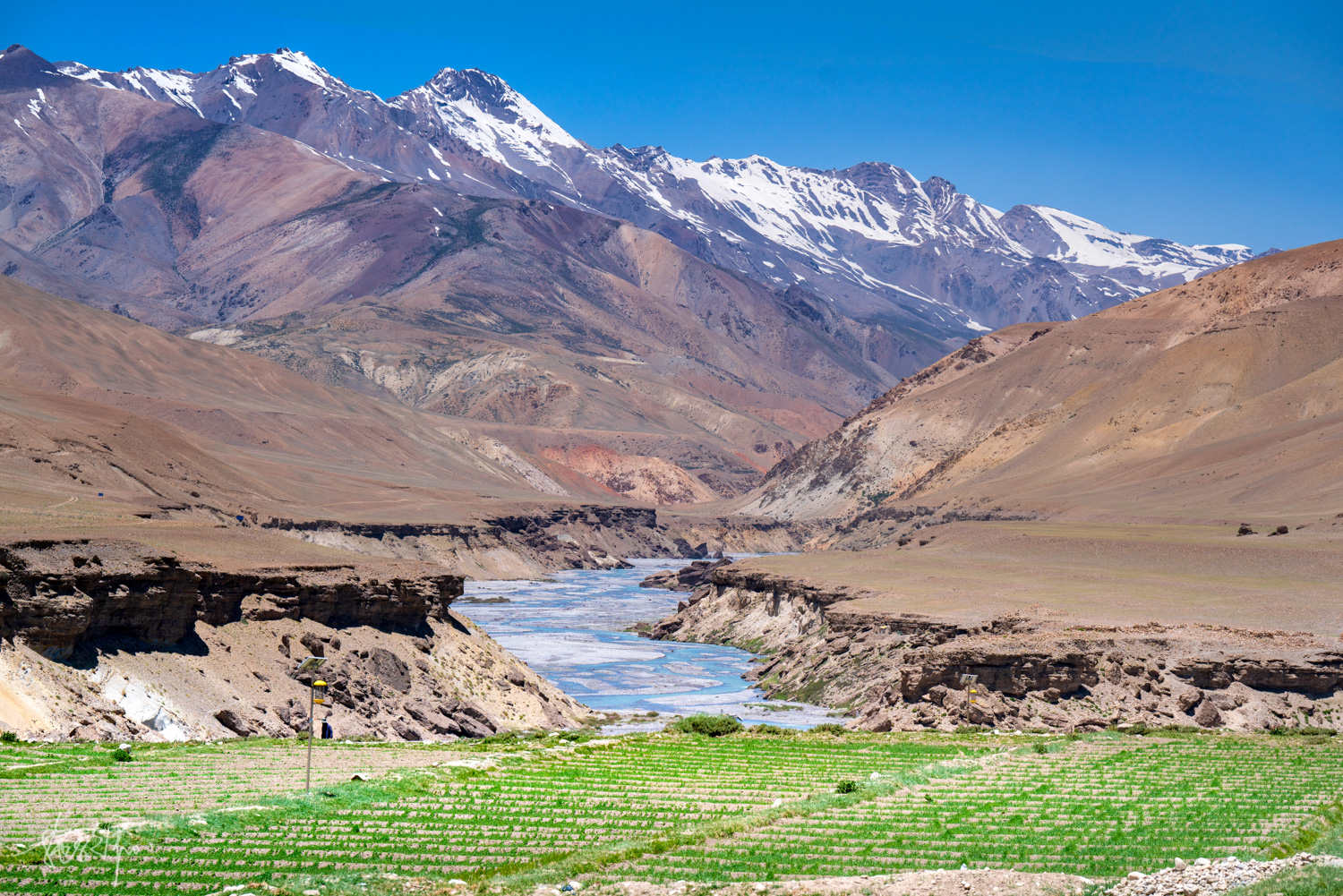 我的2022年度报告,我的2022原版