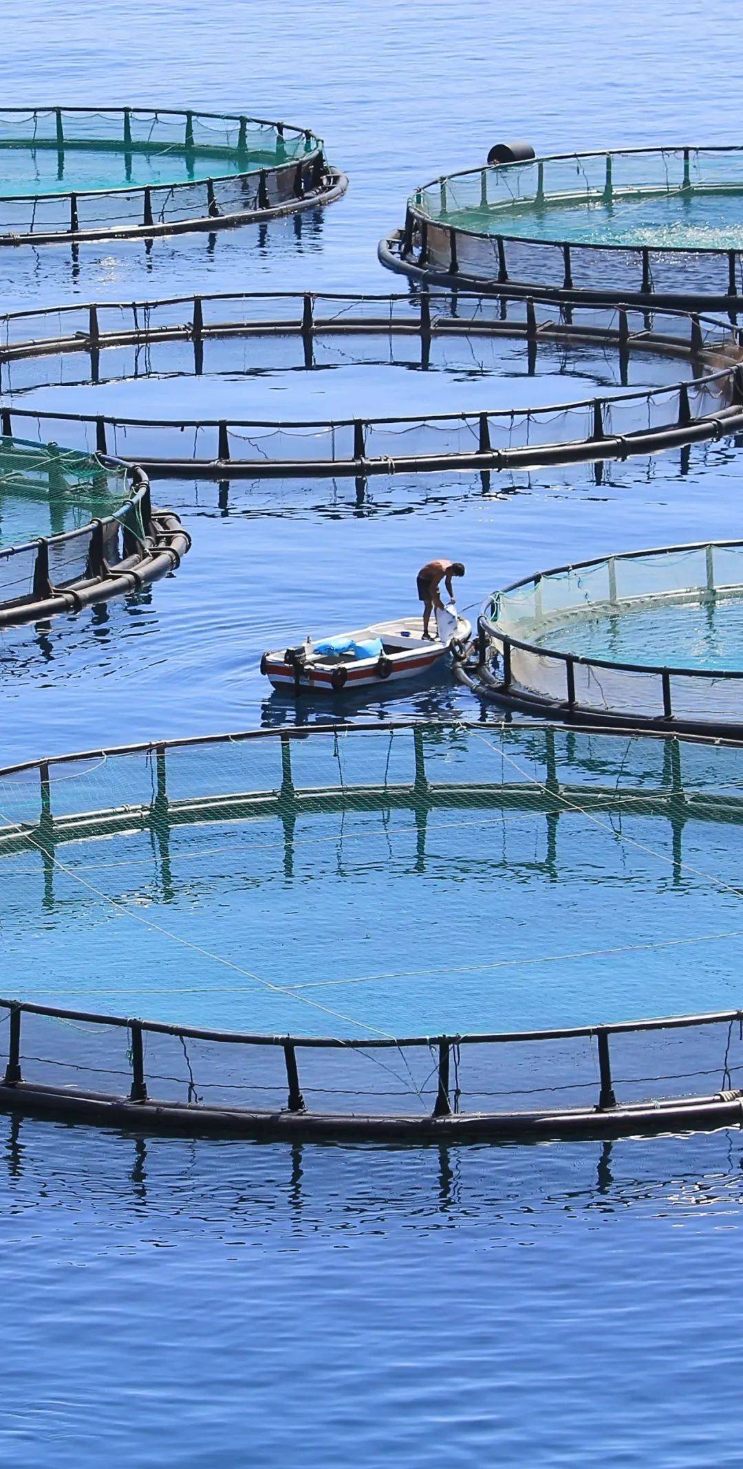 长岛都有哪些风景,人间仙境山东长岛