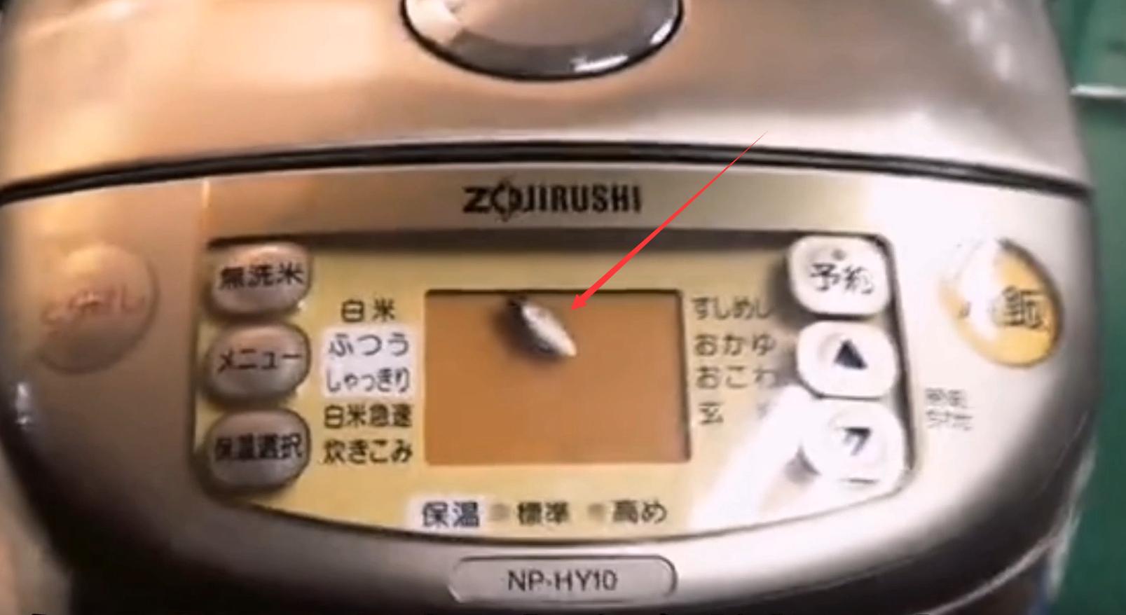 电饭煲进蟑螂商家为什么不改进,日本电饭煲进蟑螂怎么办