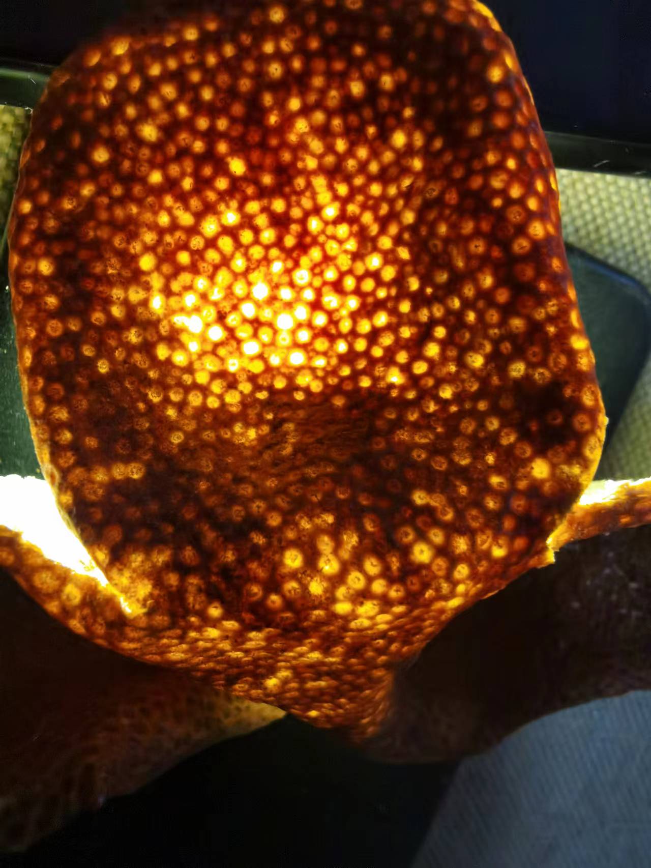 新会陈皮越陈越好的道理,新会陈皮为何不发霉