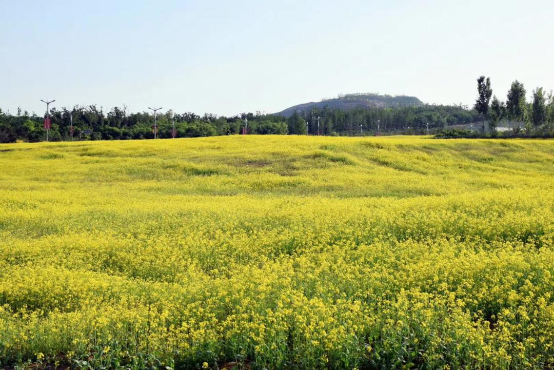疫情结束后，每个秦皇岛人都想完成的50件小事！