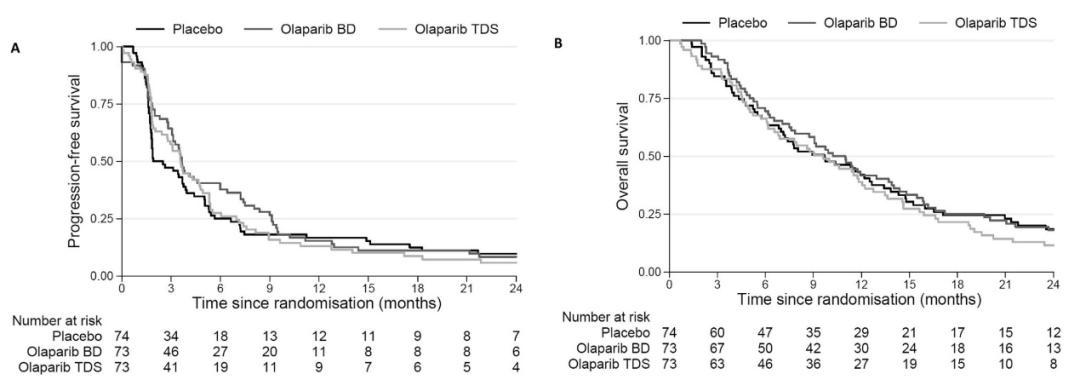 小细胞肺癌二线临床试验,英飞凡治疗小细胞肺癌的二线方案