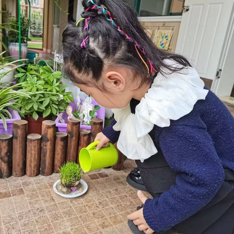 你好，草娃娃！——庆安乐儿堡幼儿园小二班课程故事