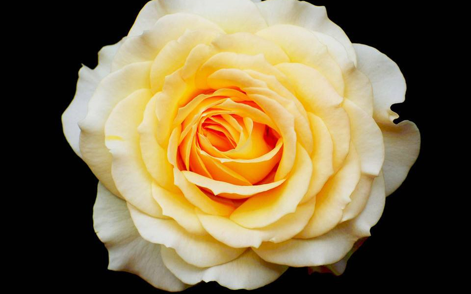 没有甜言蜜语却会用情至深的星座,越是喜欢一个人越没话说的星座