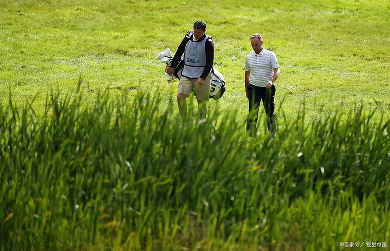农村土地承包有前景吗,土地承包种什么最有前景