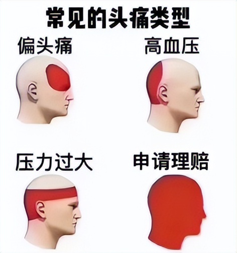 玩转支付宝实用功能,支付宝这个功能要上天吗