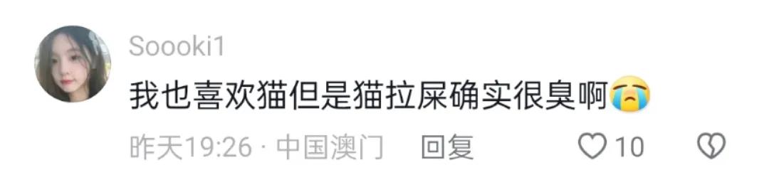 猫拉屎臭被扣饭什么梗,说猫咪拉屎臭猫咪会生气吗
