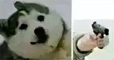 日本人花700万改造成狗,一个男子给狗建造25万的狗窝