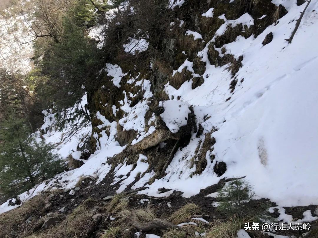 首阳山穿越大坪梁景色怎么样,大坪梁穿越到首阳山攻略