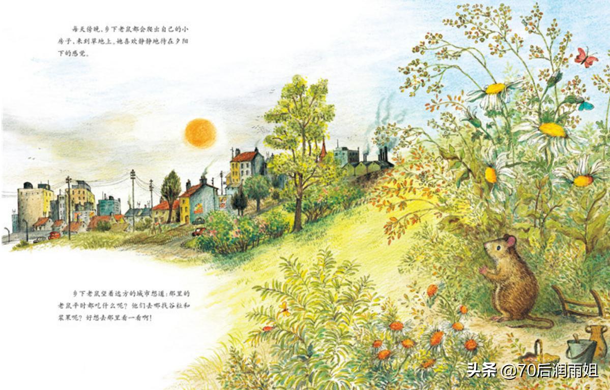 绘本城里老鼠和乡下老鼠英语提纲,城市老鼠和乡下老鼠绘本