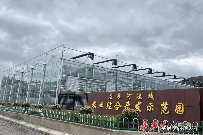 庄浪重大项目,庄浪县重大项目建设