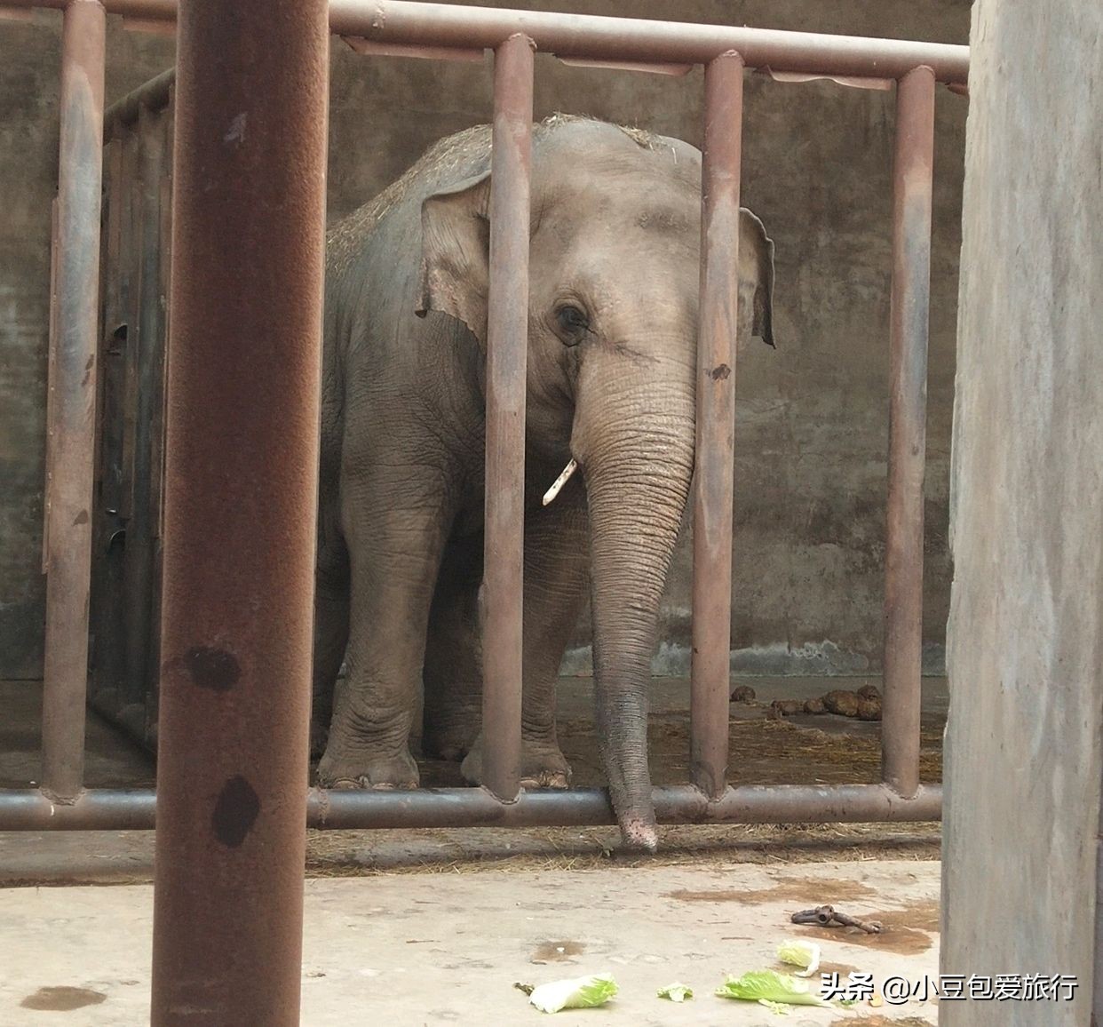 八达岭北京野生动物园推荐,两个人花100块钱能在北京玩多少