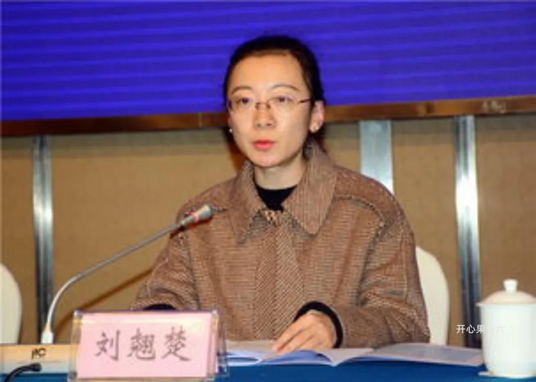 刘国强刘翘楚,通川区刘翘楚