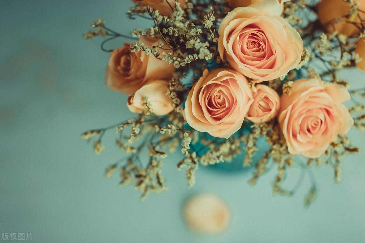 文学型网名四个字,有文学内涵的网名