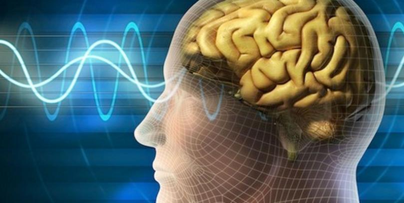 吃药造成的记忆力下降有得治吗,增强记忆力防止老年痴呆药