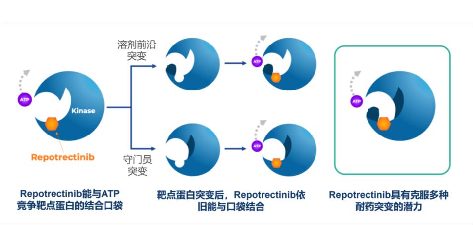 一线治疗和后续治疗,一线治疗的方案