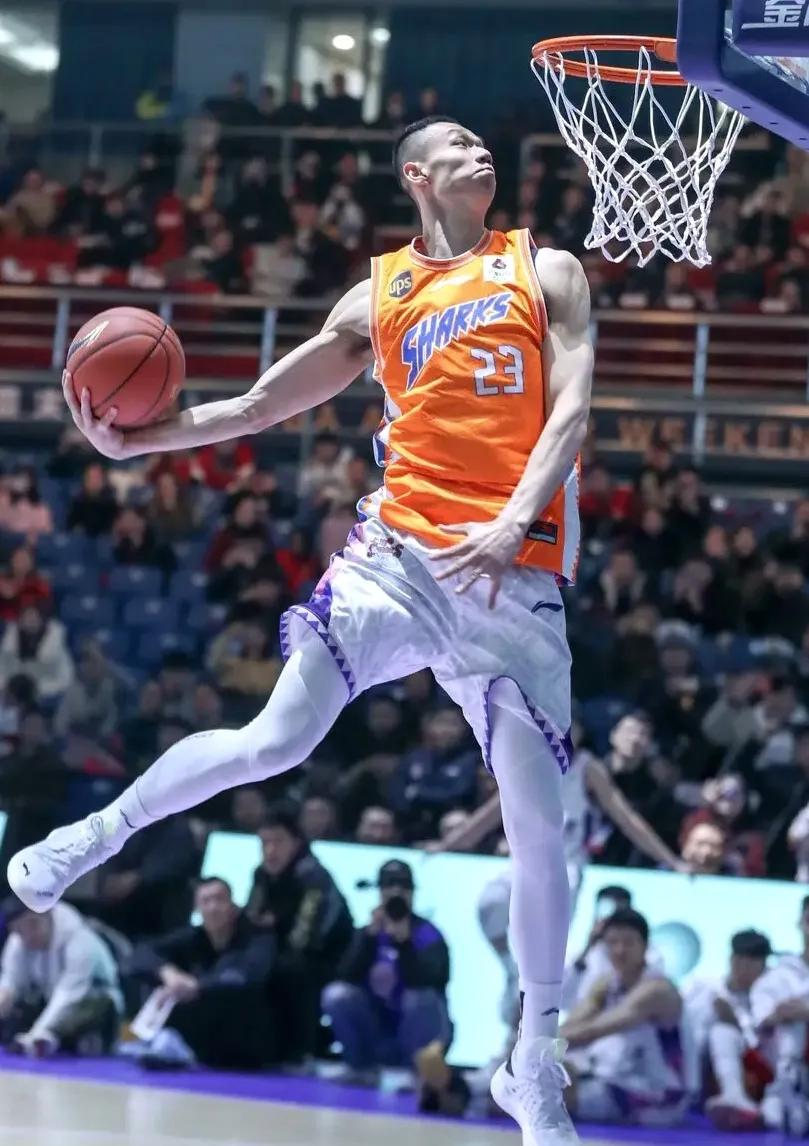 cba裁判真的没有人能管吗,cba的裁判队伍素质